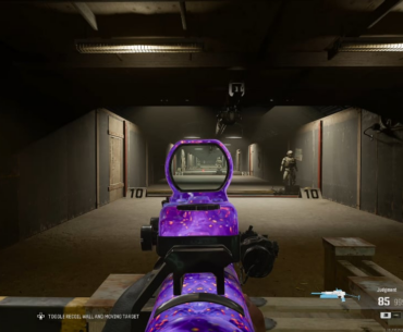 Who needs an AR when you got pp beaming 100 meters
