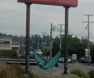 Billboard Housing Unit #247