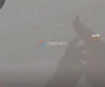 WTF???