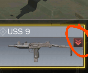 Guys what does this mark mean on the USS 9?