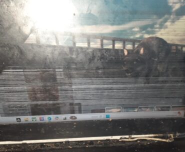 It's being replaced soon but also I'm getting evicted