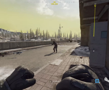 2 v 1 fist fight