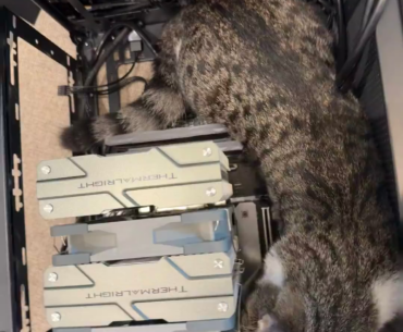 Trying to build my new PC… but my tiny fluff boss won’t let me.