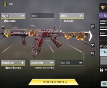 Asm-10 Turbulent Mayhem