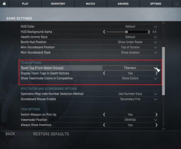 What Happened to team tags, they were kinda cute?