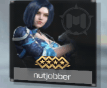 Hmm, ok so what exactly is a nutjobber? Is it a profession of some kind...