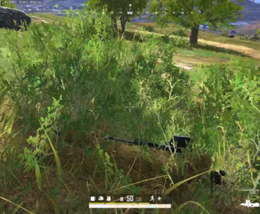 I'm the grass