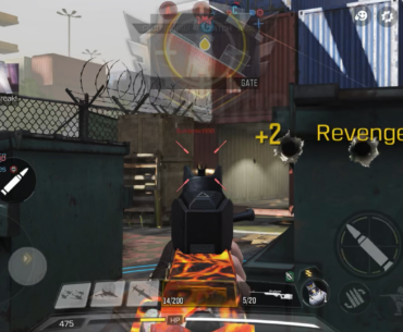 Same fuckin dog 3 times in a row