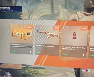 Should I sell this AK skin i just got or keep it and hoping the price will go higher in the future?