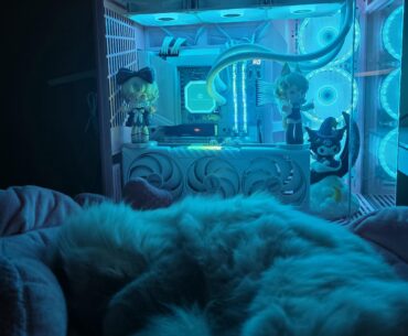 My First Custom Pc!! 💓