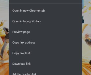 When will the 4.0 version update go live on the official website?