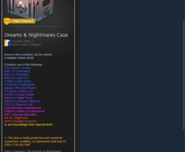 Items in steam inventory showing up twice after trade protection is over