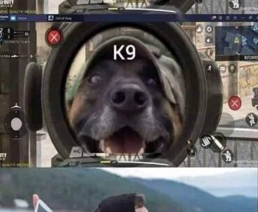 K9 🤣