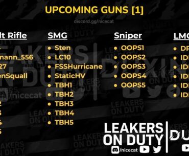 Guys, do you think these guns will come?