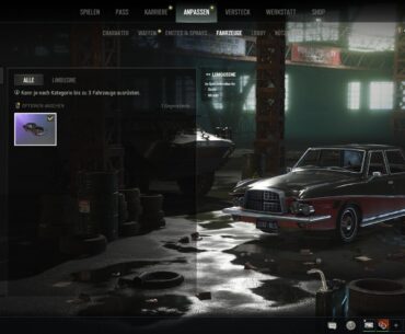 Why is my car not showing the skin?