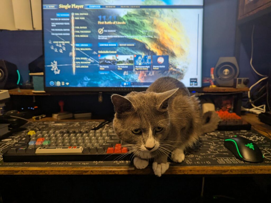 Is it cheating if I use a keyboard/mouse AND cat?