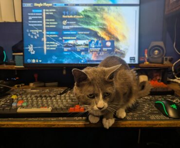 Is it cheating if I use a keyboard/mouse AND cat?