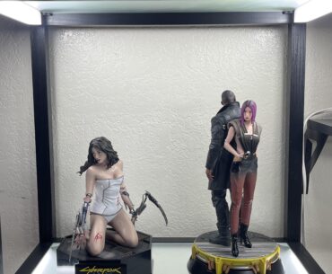 New additions to the collection