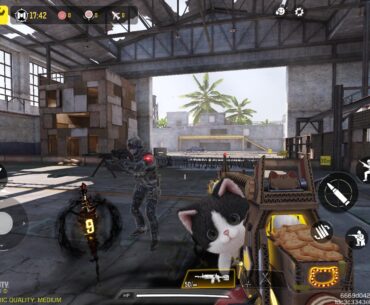 My icr cat not eating biscuit 😔🤔