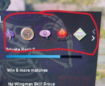 Are there any other collectibles that can show up here besides the medals, coins and pins because I like collecting these types of things