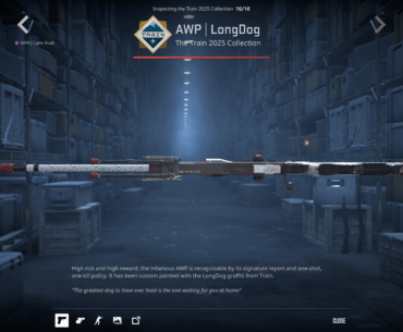 Might be grasping at straws but what does this mean on the bottom of AWP | LongDog?