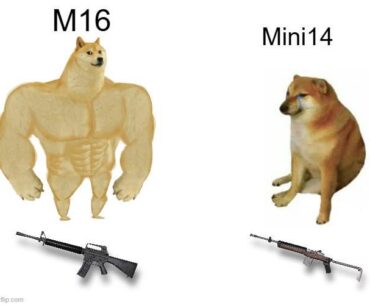 M16 vs Mini14 💪