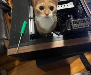 Is this CPU fast? (Cat Processing Unit)