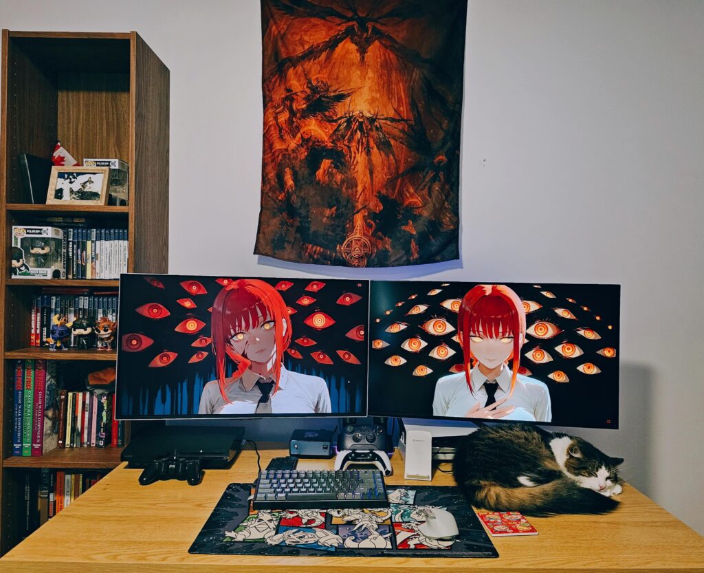 Potato setup