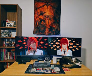 Potato setup