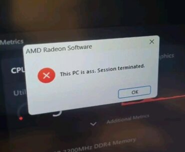 My pc when running the new borderlands game