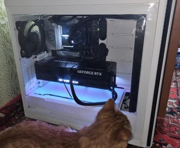 My workstation (ignore cat)