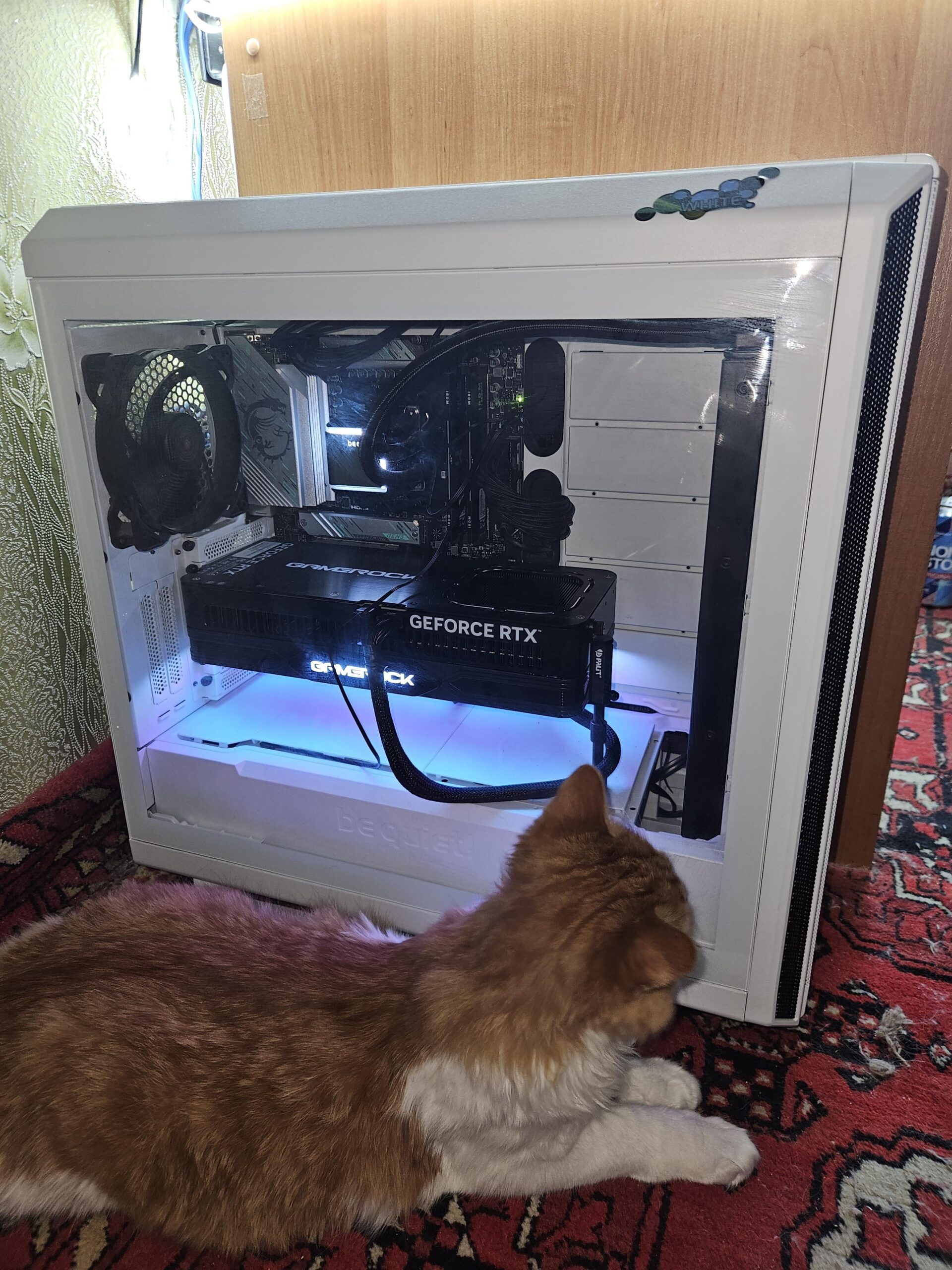 My workstation (ignore cat) My workstation (ignore cat)