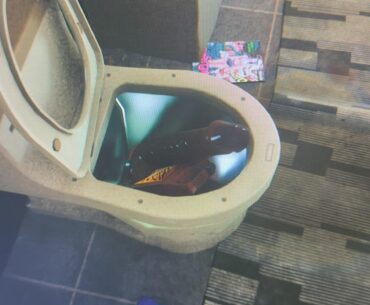 Check out this huge turd I found in a random toilet
