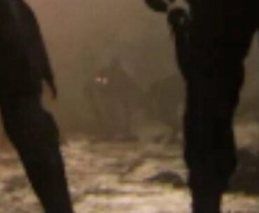 What do you think these zombie types do?