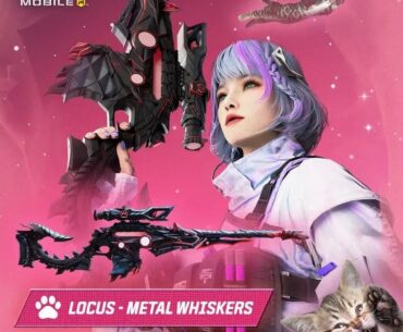 CAN WE GET A CAT BASED  KILL STREAK. !