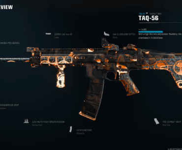 Imagine if doing this was a core feature. Would you like to be able to cross-use camos without doing glitches?