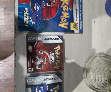 The goal of 100% every pokemon game