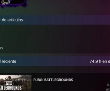 PUBG Steam item showcase got nerfed? Only market items now…