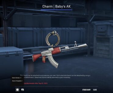 Is this a good offer? $225 charm template #1