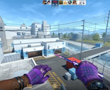 Which combo is better for a PURPLE LOADOUT?