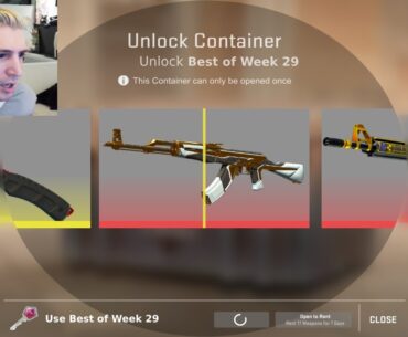 BEST CASE OPENINGS IN COUNTER-STRIKE 2 (WEEK 29)