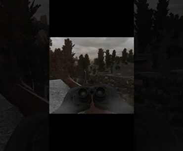 A-Life je okosnica Stalker igara #shorts  #survivalhorror #gaming #stalkergamma #fps #games