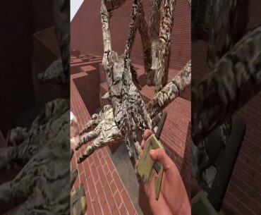 WHY DID I ENTER THIS MAZE?! (Garry's Mod) #gmod #garrysmod