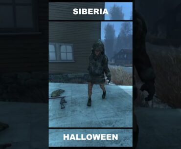 HALLOWEEN SIBERIA (DAYZ) #gaming #be #dayzgamers #dayz #gameplay #fr #fps #games #halloween