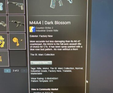 Random Old Common Skin worth $100+