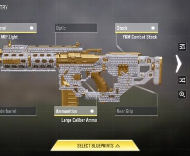 Best assault rifle we have rn