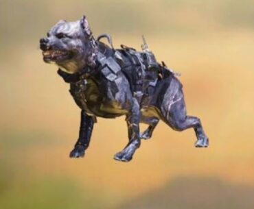 Did you know that you can execute K9 units?