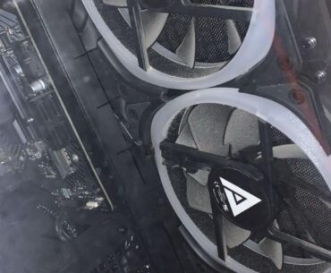 Dusty fans after 2 days