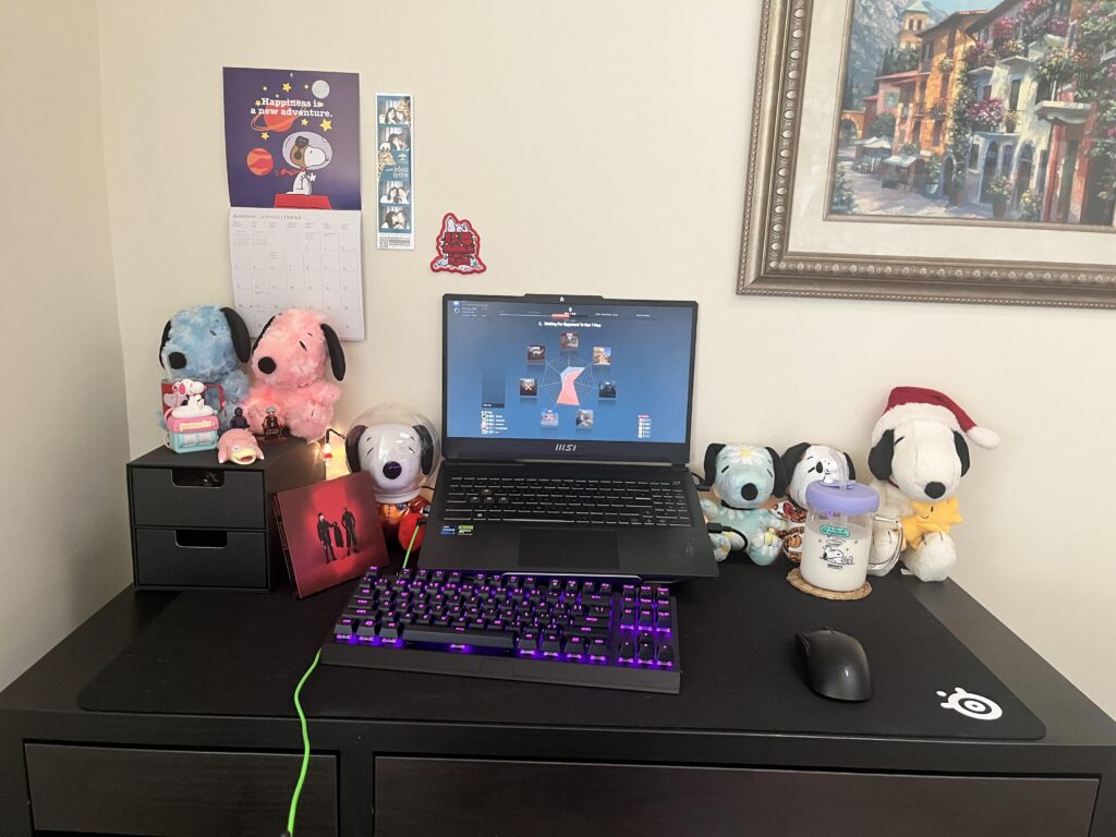 My setup in the USA where I moved from Europe