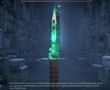 CS2 Trade Update (200 bucks to get this)